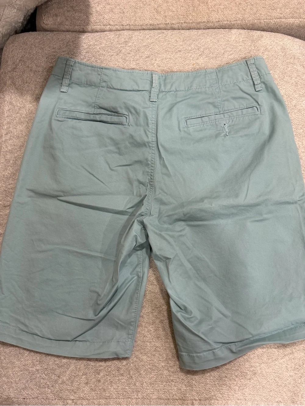 Aeropostale Men's Seafoam Green Flat Front Chino Shorts